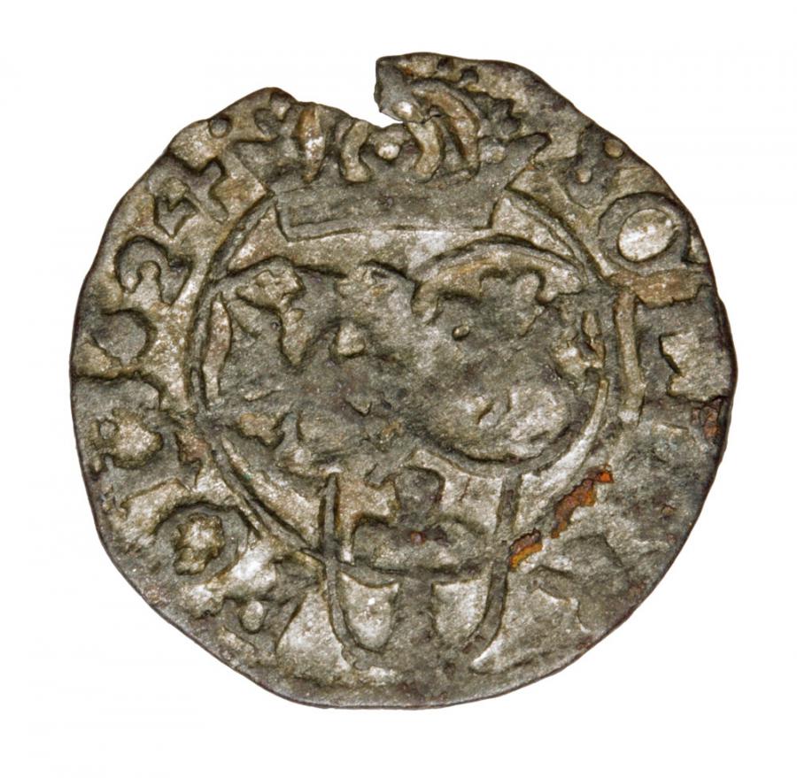 Szeląg 1624 Sigismond III Vasa Pologne Bydgoszcz
