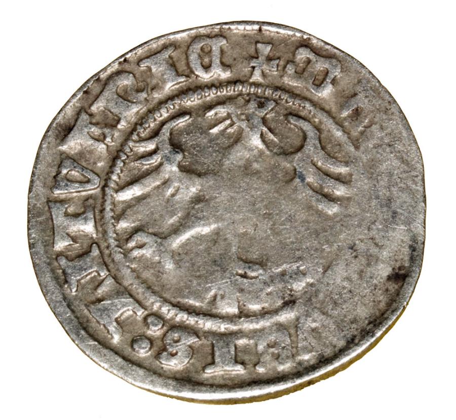 Demi-grosz 1510/11 Sigismond Ier de l'Ancienne Lituanie Vilnius